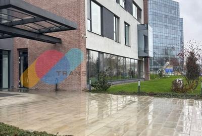Spatiu birouri, 220 Mp, open space, zona Tetarom - 1