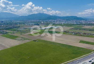 Teren Construcții extravilan de 24348 mp, în Triaj - 6