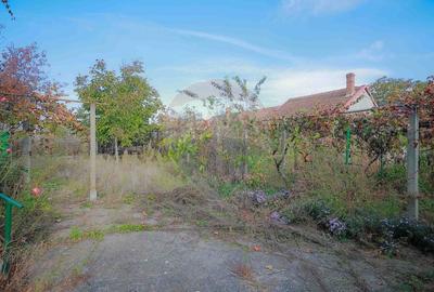 De vanzare casa cu teren de 3036 mp in Bors - 14