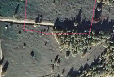 Teren de 5000 mp, în Clopotiva - 3