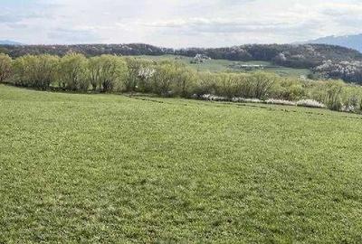 Spațiu comercial, în Bungard - 6