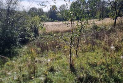 Spațiu comercial, în Cracu Almăj - 4