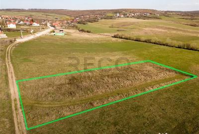 Teren în Betfia - 3