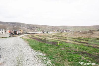 Teren în Câmpenești - 2