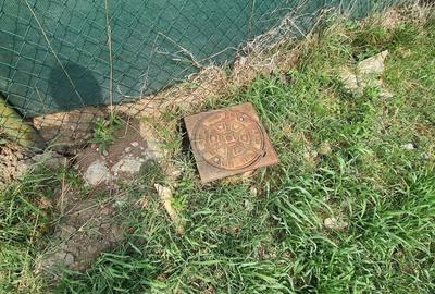 Casă cu Teren 3727 Mp în Bănești - 12