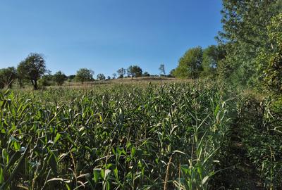 Spațiu comercial, în Central - 3