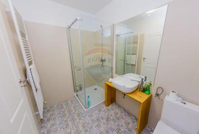 Casă individuală cu 8 camere cu Teren 6370 Mp în Groșii Țibleșului - 15