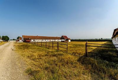 Fermă Mândruloc 2,5 ha - 6