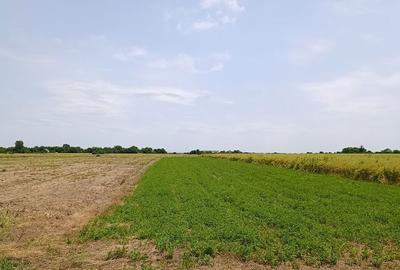 Teren de 216967 mp, în Nuci - 2