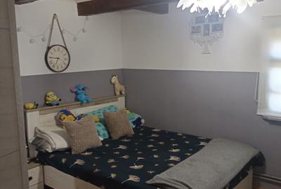 De vânzare casa particulara în Ilieni - 6