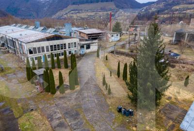 Spațiu comercial, de 5,000 mp, în Bucea - 17