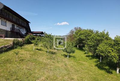 Casa batraneasca cu foi?or ?i teren - 4