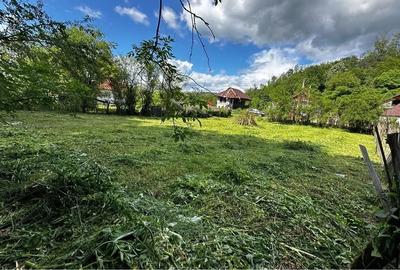 Teren de 966 mp, în Negoești - 3