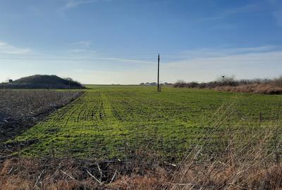 Spațiu comercial, în 2 Mai - 6