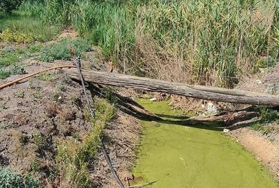 Teren de 2800 mp, în Lovrin - 2