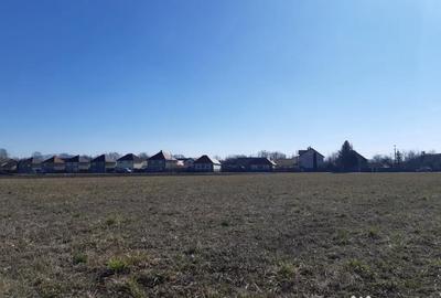 Teren de 5000 mp, în Prejmer - 2