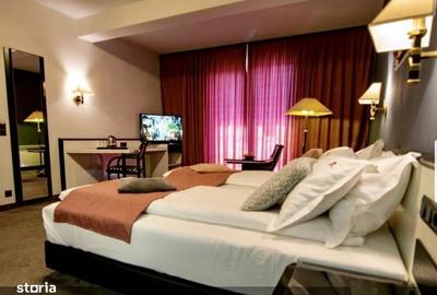 Spațiu comercial, de 761 mp, în Săpânța - 9