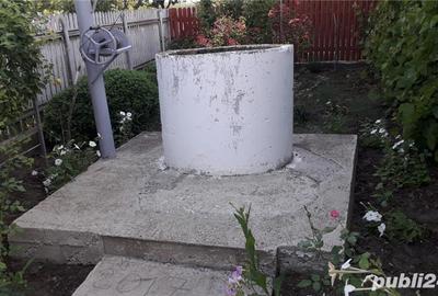 Casă cu 4 camere cu Teren 5000 Mp în Valea Mărului - 3