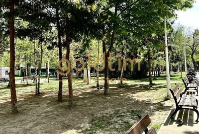 Casă individuală cu 13 camere cu Canalizare în Pache Protopopescu - 40