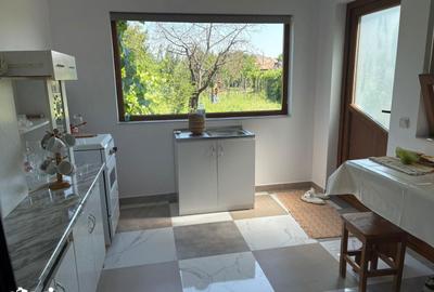 Casă cu 2 camere cu Teren 1100 Mp în Oituz - 6