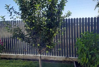 Casă individuală cu 3 camere cu Teren 529 Mp în Tărtășești - 2