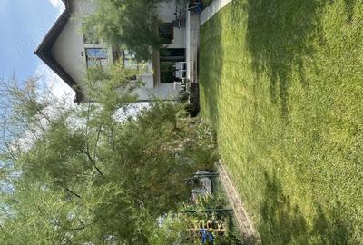 Casa in Timi?oara p +2 strada Agricultorilor 1A,8 Camere, 5 bai, ideal pentru sediu firma, clinica - 4