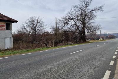 Casă individuală cu 6 camere cu Teren 10756 Mp în Exterior Sud - 12