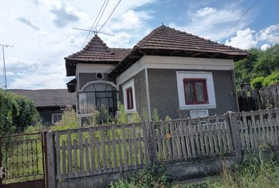 CASA  PITOREASCA DE VANZARE BRANESTI - DAMBOVITA