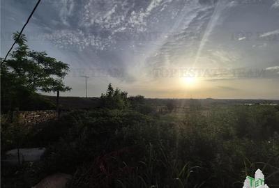 Teren intravilan Palazu Mare-zona linistita-vedere lac Teren intravilan Palazu Mare-zona linistita-vedere lac - 4