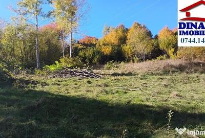 Teren de 3600 mp, în Alexandru cel Bun - 2