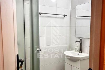 Apartament cu o camera,zona Dambovita - 4