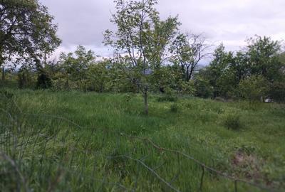 65000euro!!Bucium!Teren intravilan 1500mp,asfalt! - 2