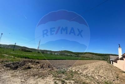 Teren de 1600 mp, în Cristian - 3