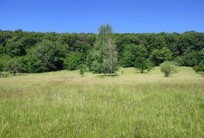 Teren extravilan de 1357 mp, în Pietroșani