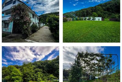 Oportunitate de afacere Casa + Hala (160mp) - Onesti - 9
