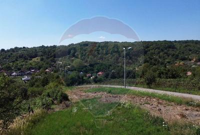 OCAZIE! Teren IEFTIN de vanzare in Baia Mare, pe Valea ... - 3