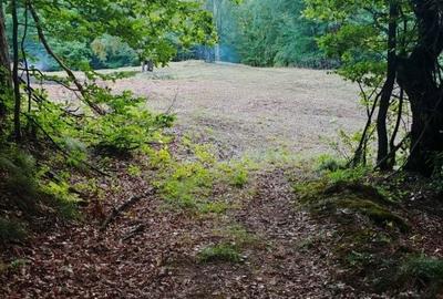 Teren de 7000 mp, în Grădiștea de Munte - 1