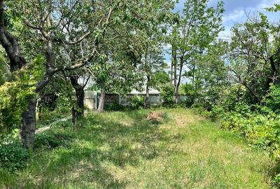 Casă cu Teren 1925 Mp în Gara Berheci - 6