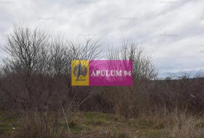 Teren cu potential comercial, bun pentru Showroom. - 14