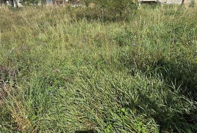 Casa individuala cu 2 camere si 495 mp teren in Sura Mare - 10