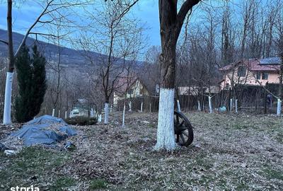 Teren de 1050 mp, în Păușești - 5