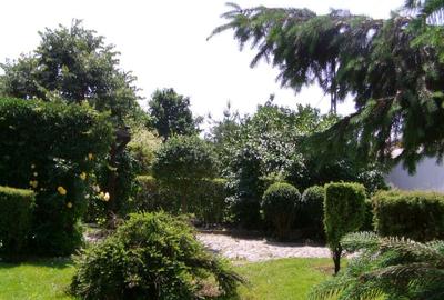 Casă cu 3 camere în Dănești - 10