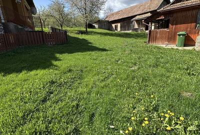 Casă cu 3 camere în Cacova Ierii - 5