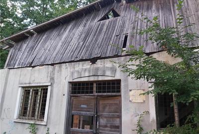 Casă cu 6 camere în Buziaș - 2