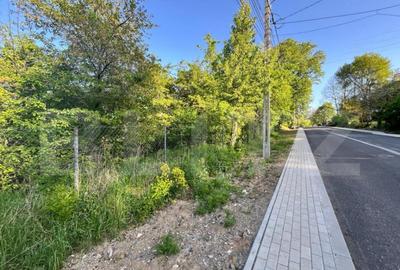 Teren intravilan ,cu vegetatie, 2700 mp, zona Siret - 6