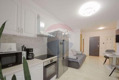Apartament cu 2 camere decomandat, mobilat în Europa - 1