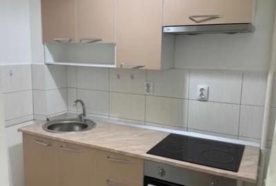Apartament cu 1 camera in Tatarasi-Flora,la bulevard - 9