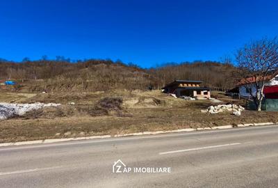 Casă individuală cu 4 camere cu Canalizare în Livezeni - 4