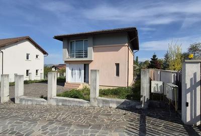 Casă cu 2 camere în Satu Nou de Jos - 13