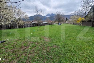 Teren de 4300 mp, în Baciu - 2